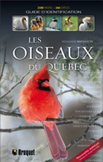 Les OISEAUX du Québec – Guide d identification