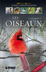 Les OISEAUX du Québec – Guide d identification